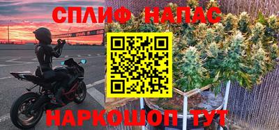 мдпв Будённовск