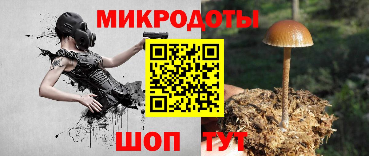 Галлюциногенные грибы Psilocybine cubensis  Вход с VPN  Псилоцибиновые грибы MAGIC MUSHROOMS  Малоярославец 