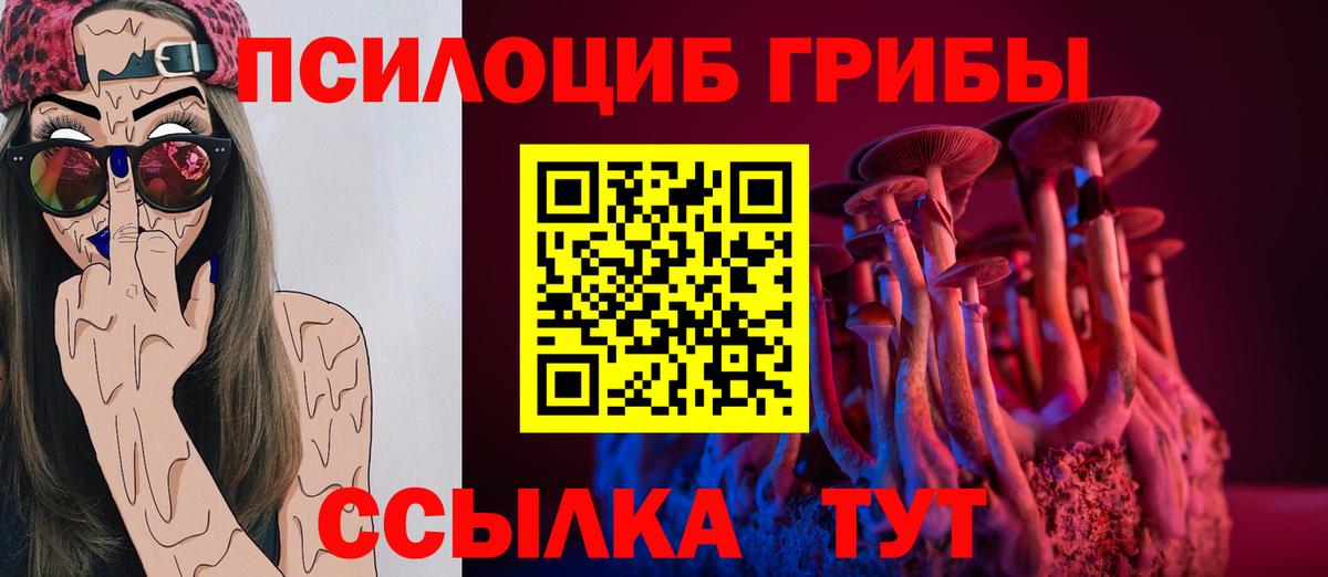 Псилоцибиновые грибы мицелий Малоярославец